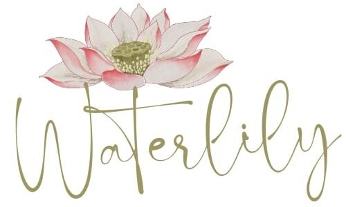 waterlilystore.in